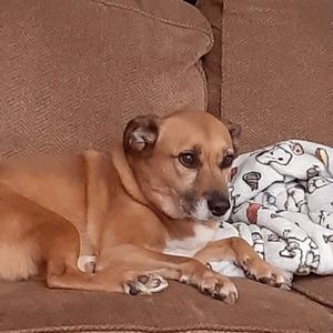 Meet your Posher, Susan